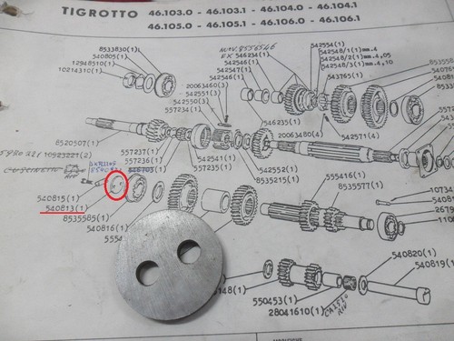 Piastrina lupetto leoncino - piastrina,