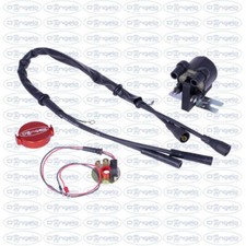 Kit completo modifica accensione elettronica fiat 500/126