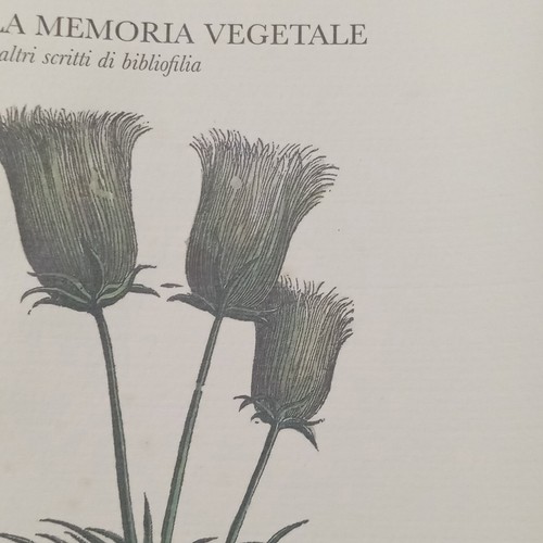 Libro memoria vegetale - memoria,