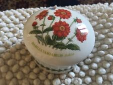 Portmeirion Botanic Garden, scatolina porcellana