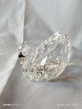 swarovski cigno