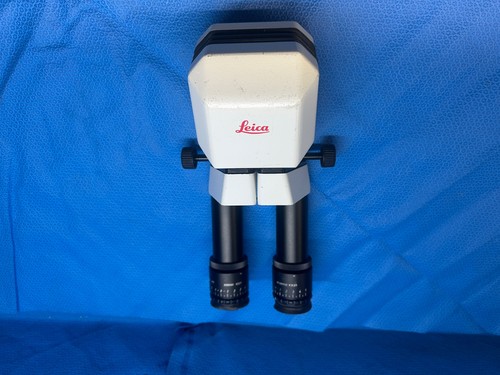 Leica 10448159 ergo testina - 10448159,