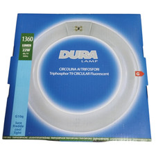 LAMPADA NEON CIRCOLARE
