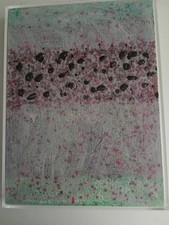 Paolo Masi, originale 40x30