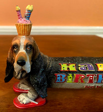 Bassett Hound indossa cupcake
