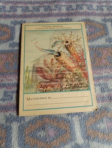Quaderno pigna fauna marina - fauna,