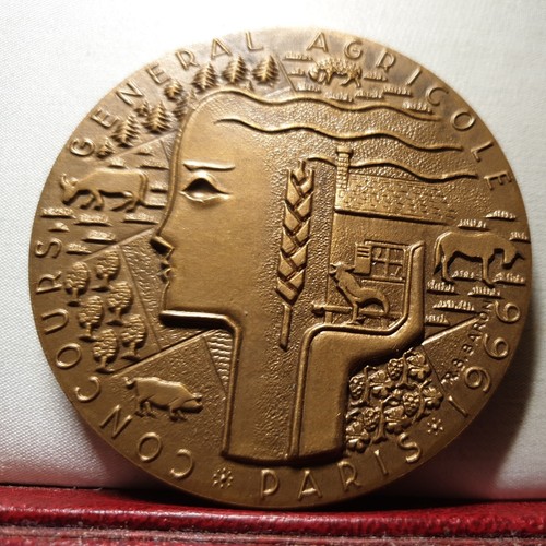 1966 59mm medaglia arte - 59mm, bronzo