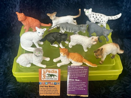 Safari ltd cat - cat, collection