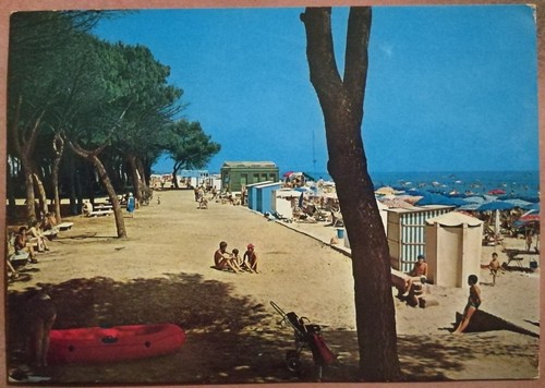 Pineto la spiaggia - (teramo),