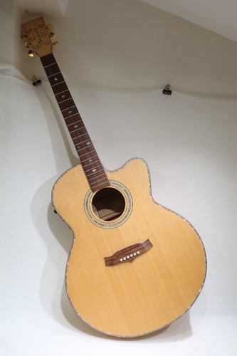 Tanglewood pro chitarra - pro,