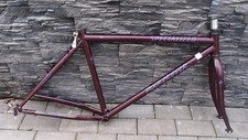 Telaio MTB acciaio Cr-Mo anni