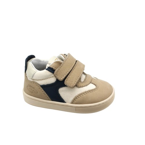 Balducci cita6755 b18868 - balducci, cita6755-b18868