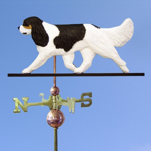 Cavalier king charles - cavalier, spaniel