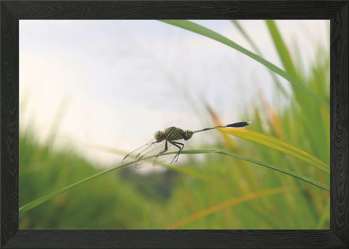 Poster arte parete con - parete,