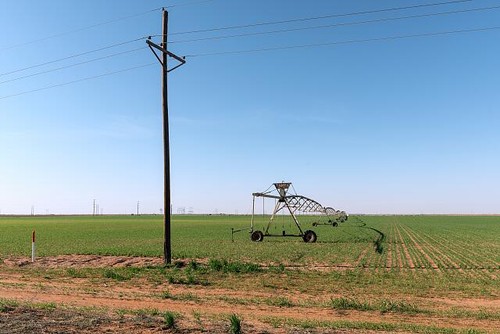 Irrigatore rullo gaines - rullo,