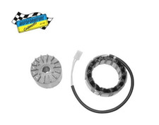 Alternatore Ducati Energia 12V/220W Per LOMBARDINI Motori Industriali SGR 355439