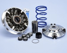 241.716 VARIATORE POLINI