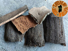 5 PANNELLI DI SUGHERO LISCIO