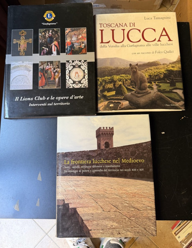 Lotto libri storia - , lucchese