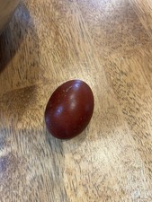 10+French Black Copper Marans
