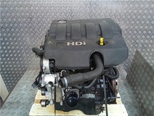 Rhp Motore Suzuki Vitara