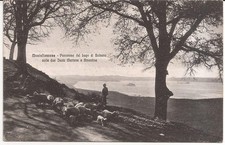 Montefiascone ( VT ) Panorama