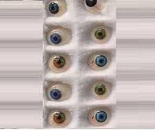 Protesi Occhio Umano 10 Pezzi