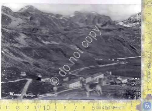 Cartolina postcard monte - ,
