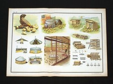 POLLAIO PROVINCIALE TORINO G.B. PARAVIA manifesto poster Roost Chicken Pollo M17