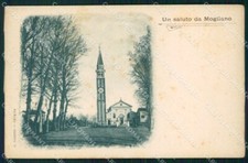 Treviso Mogliano Veneto cartolina VK3434