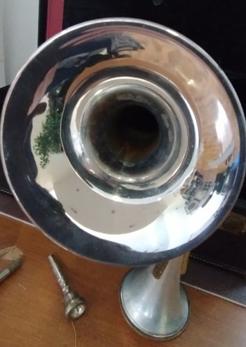 Tromba yamaha custom xeno - xeno, ii