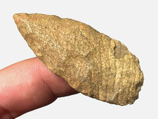 LAMA LERMA COLORATA TEXAS