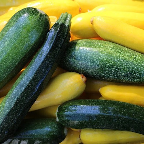 Mixed zucchini seeds non - seeds,