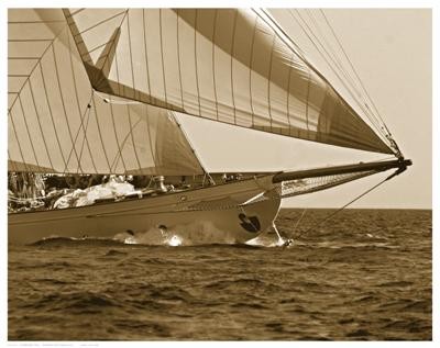 Anonymous starboard tack open - starboard,