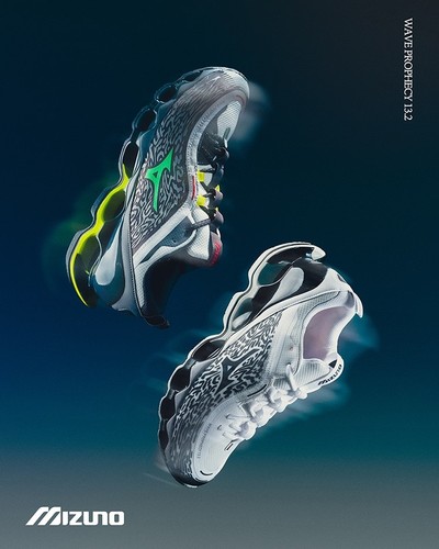 Mizuno wave prophecy 2 - wave, 13.2