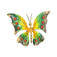 Farfalla Media in Ferro