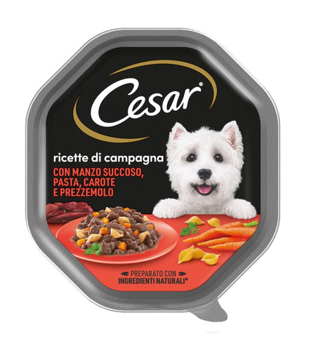 Alimento umido per cani - alimento,