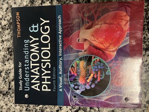 Understanding anatomy and - anatomy,