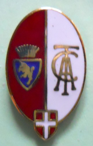 Distintivo spilla pin badge - distintivo,