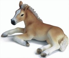 GW24c2 Schleich 13292 puledro