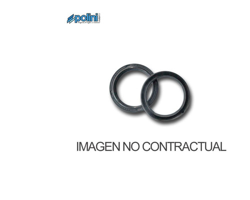 Pln242037 polini variator - polini, oil