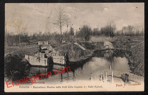 Ak3913 cartolina epoca - -,