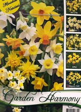 COLLEZIONE DI 50 BULBI AUTUNNALI NARCISI BOTANICI IN MIX BULBS