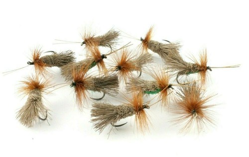 Goddard sedges classic - goddard,