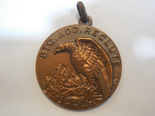Medaglia alpini battaglione