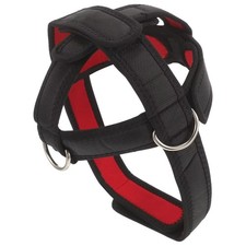 Cinghia allenamento trapezio