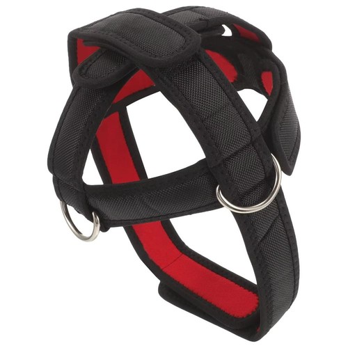 Cinghia allenamento trapezio