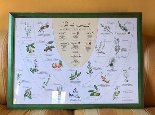 Quadro oli essenziali - quadro,