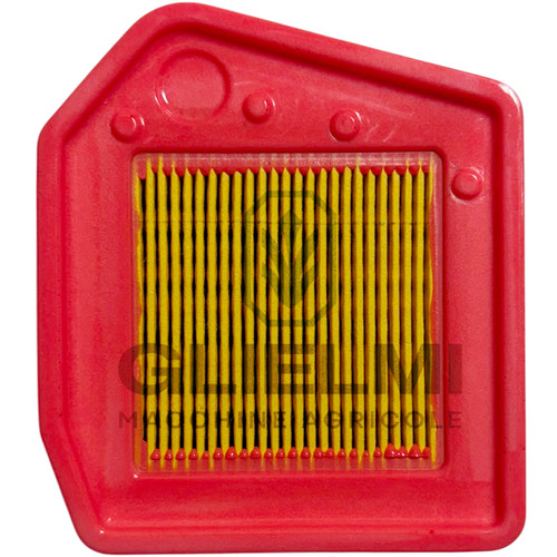 Filtro aria decespugliatore - filtro,