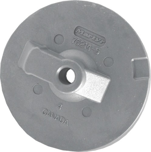 Anodo pinna piatta piede - pinna,